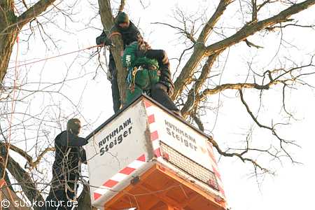 Baumbesetzung in Lüneburg