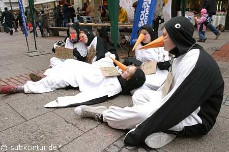 Obdachlose Pinguine